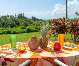 Alii Kai 11B-ocean/mountain views, hot tub, family friendly & budget friendly