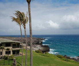 Kapalua Bay Villa 23B3 Ocean Front