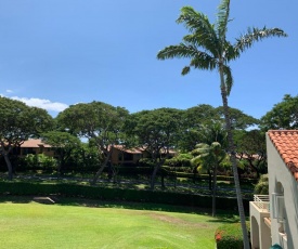 Palms at Wailea Condo 1802